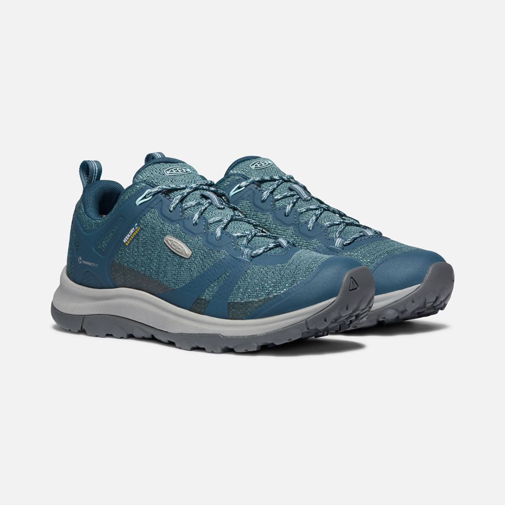 Baskets Keen Femme Bleu | Terradora Ii Waterproof Shoes | LGZNM-0493